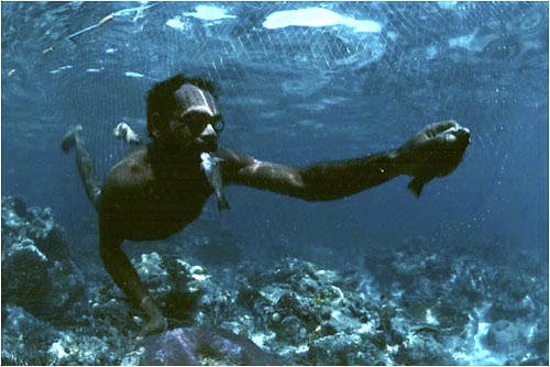 Net fishing, Langalanga Lagoon, Malaita Island, Solomon Islands. copyright Michael McCoy