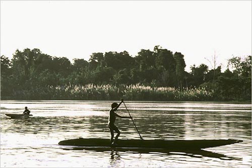 Paddling dugout canoes on the Sepik River, Papua New Guinea. copyright Michael McCoy