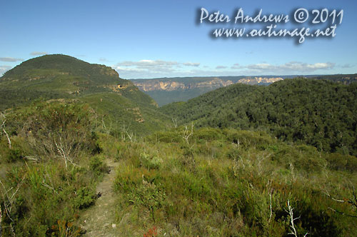 Mt Banks and the Grose Valley, from the Bells Line of Road. Photo copyright Peter Andrews, Outimage Australia.