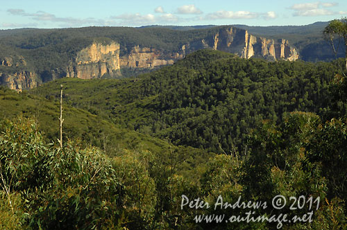 Looking towards the Grose Valley in the Blue Mountains, from the Bells Line of Road. Photo copyright Peter Andrews, Outimage Australia.