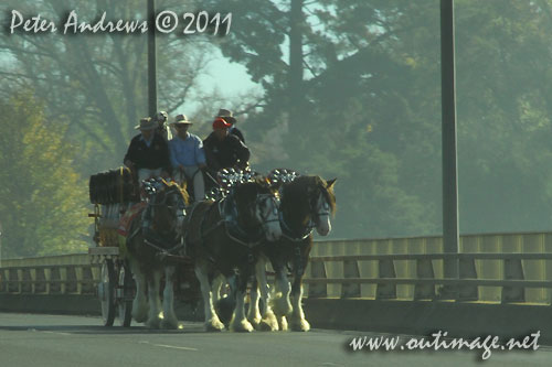 Rolling into Bathurst, NSW Australia during the lead-up to the Bathurst Show where a Clysdale Team. Photo copyright Peter Andrews, Outimage Australia.