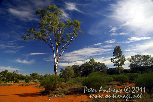 Taking a break from the Barrier Highway to take in the amazing colours of the Australian outback. At a roadside rest area between Cobar and Wilicannia, NSW Australia. Photo copyright Peter Andrews, Outimage Australia.