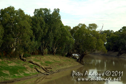 The Darling River at Wilcannia on the Barrier Highway, NSW Australia. Photo copyright Peter Andrews, Outimage Australia.