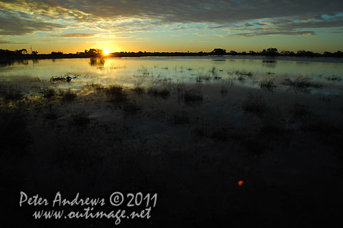 Sunset near the Little Topar Roadhouse, between Wilcannia and Broken Hill on the Barrier Highway, NSW Australia. Photo copyright Peter Andrews, Outimage Australia.