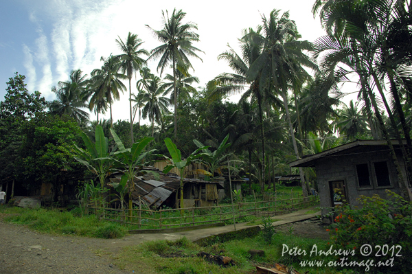 Houses along the highway to Kidapawan City, Cotabato Province, Mindanao, Philippines. Photo copyright Peter Andrews, Outimage Australia.