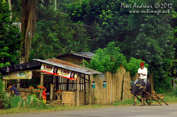 Buffalo traffic along the highway to Kidapawan City, Cotabato Province, Mindanao, Philippines. Photo copyright Peter Andrews, Outimage Australia.