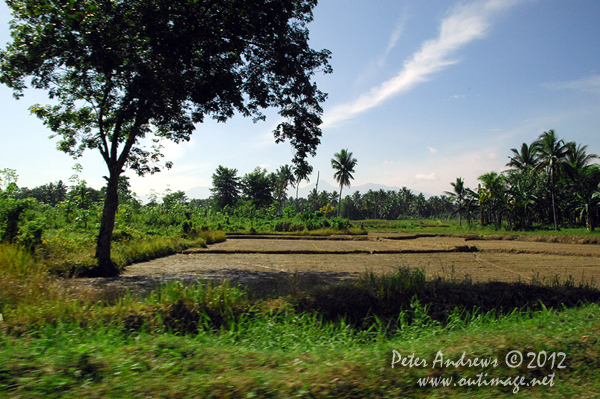 Rice field preparation with Mt. Apo, the highest mountain in the Philippines at 2,954 metres (9,692 ft), in the background. Cotabato Province, Mindanao, Philippines. Photo copyright Peter Andrews, Outimage Australia.