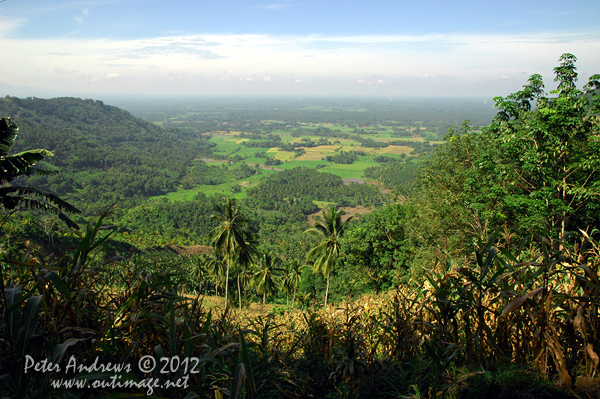 At the top of a mountain pass on the President Roxas - Arakan Valley Road, a field of corn desends into the valley below. Cotabato Province, Mindanao, Philippines. Photo copyright Peter Andrews, Outimage Australia.