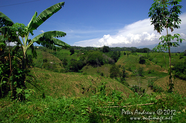 Overlooking the Arakan Valley, Cotabato Province, Mindanao, Philippines. Photo copyright Peter Andrews, Outimage Australia.