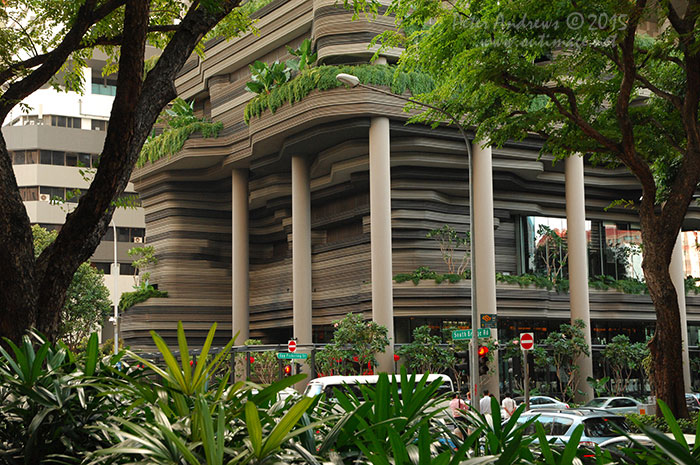 Walking from Circular Road to Chinatown in Singapore as the city prepares for the Lunar New Year.