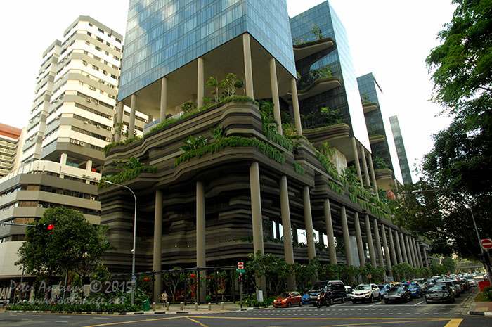 Walking from Circular Road to Chinatown in Singapore as the city prepares for the Lunar New Year.