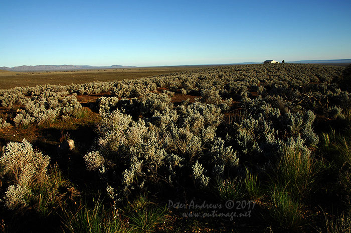 Views along the road to Quorn through the South Flinders Ranges, South Australia.