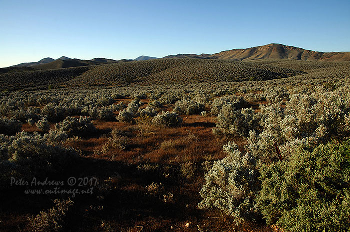 Views along the road to Quorn through the South Flinders Ranges, South Australia.