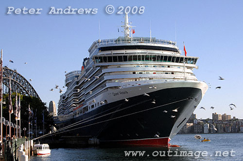 A flock of seagulls fly by the Queen Victoria at Circular Quay.