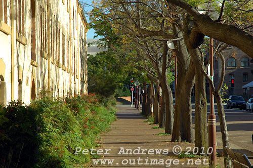 Newcastle Regional Museum. Photo copyright Peter Andrews, Outimage Publications.