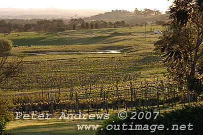 Shoalhaven Wine Drive.