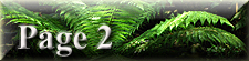 Rainforest Page 2 icon.