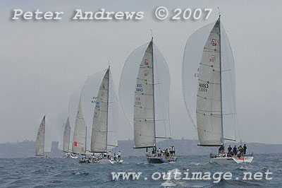 A line of Farr 40's under spinnaker.