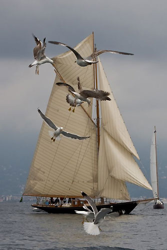 Luigi Donna's Varuna, during the Portofino Rolex Trophy 2009. Photo copyright Rolex / Carlo Borlenghi.