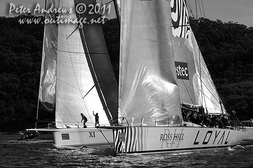 Anthony Bell's 100 ft maxi Investec Loyal and Bob Oatley's Reichel Pugh 100 Wild Oats XI tacking duel out of Sydney Harbour, after the start of the Audi Sydney Gold Coast 2011. Photo copyright Peter Andrews, Outimage Australia.