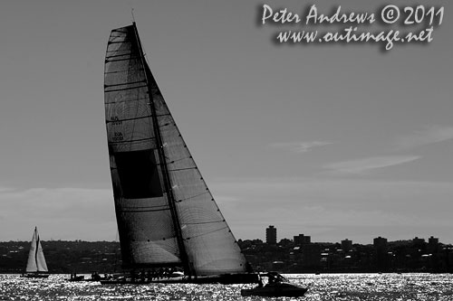 Bob Oatley's Reichel Pugh 100 Wild Oats XI, on Sydney Harbour after the start of the Audi Sydney Gold Coast 2011. Photo copyright Peter Andrews, Outimage Australia.