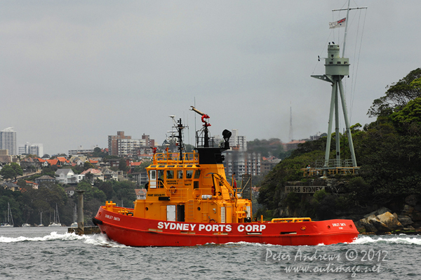 Traffic on Sydney Harbour during the CYCA Trophy One Design Series 2012. Photo copyright Peter Andrews, Outimage Australia 2012.