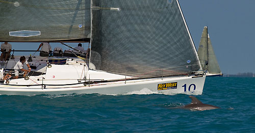 Key West, January 20, 2010. Enfant Terrible. Photo copyright Stefano Gattini / Joe Fly.