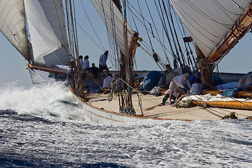 Le Voiles de Saint Tropez 2010, France. Photo copyright Carlo Borlenghi.