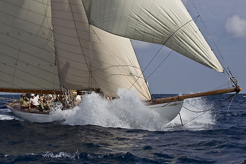 Le Voiles de Saint Tropez 2010, France. Photo copyright Carlo Borlenghi.