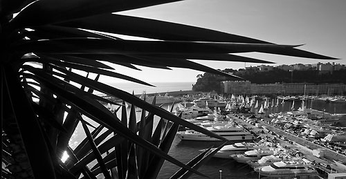 The XXVIIth Primo Cup - Credit Suisse Trophy 2011, Port Hercule, Monaco. Photo copyright Stefano Gattini, Studio Borlenghi.