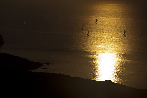 The Fleet approaching Giraglia Rock at sunset, during the Giraglia Rolex Cup 2011, Saint-Tropez, France, June 18-25.  Photo copyright Rolex and Carlo Borlenghi.