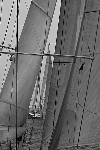 Fleet, Perini Navi Cup 2011, Porto Cervo, Italy. Photo copyright Carlo Borlenghi.